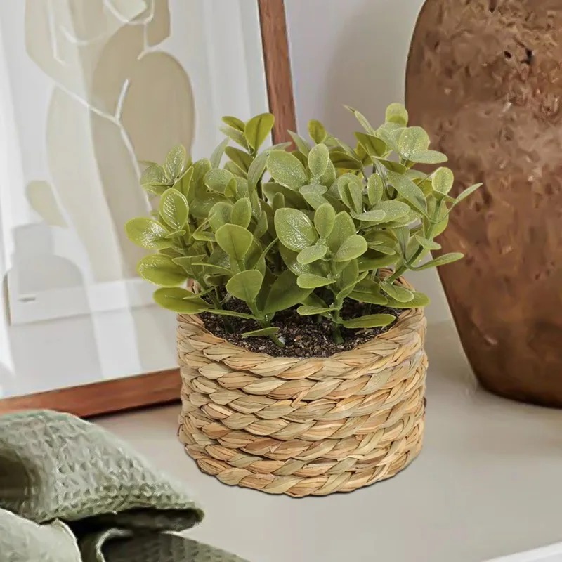 1pcs Woven Small Artificial Gr - огляд і ціна Home Office Layout