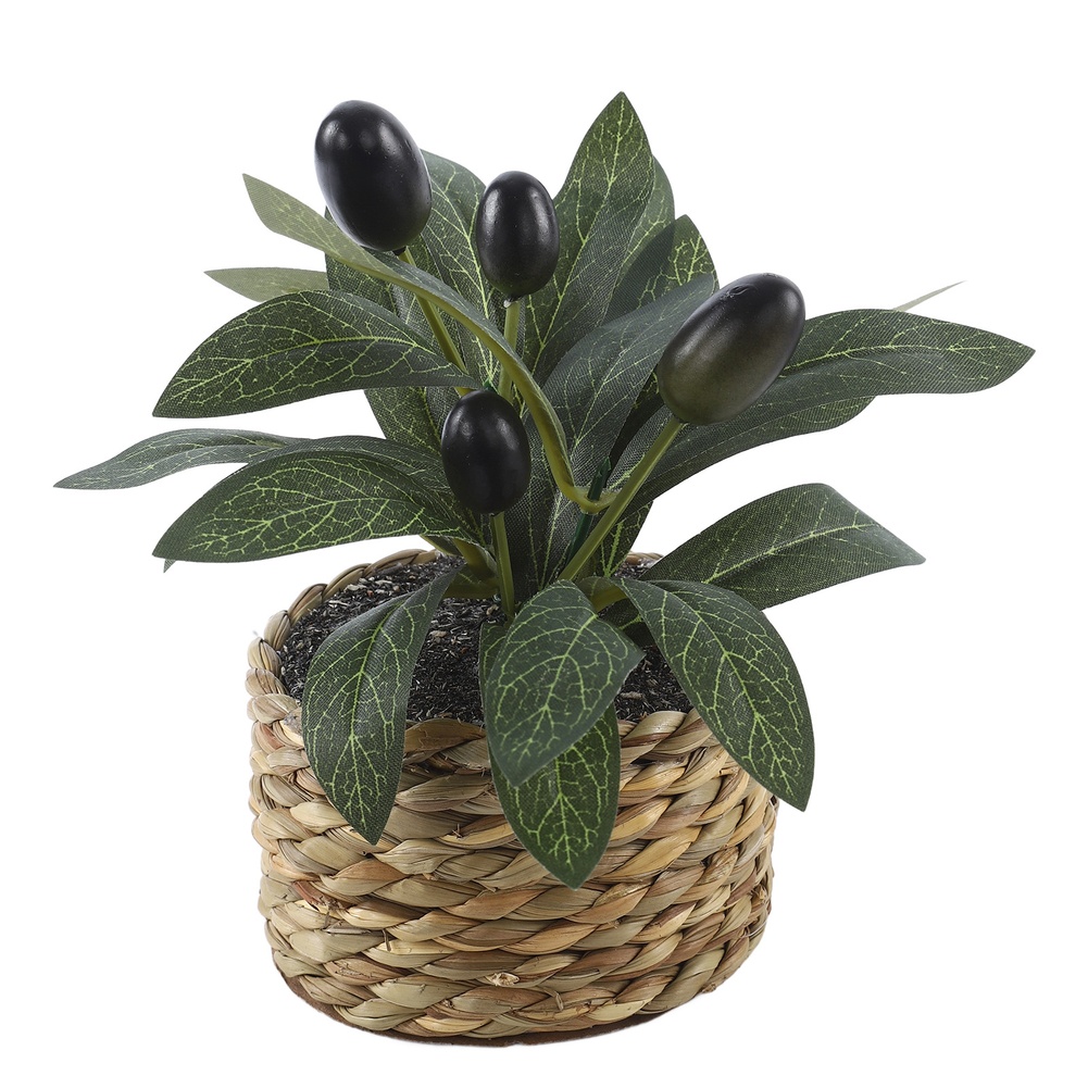 Artificial Plants Pocket Olive - огляд і ціна Home Office Layout